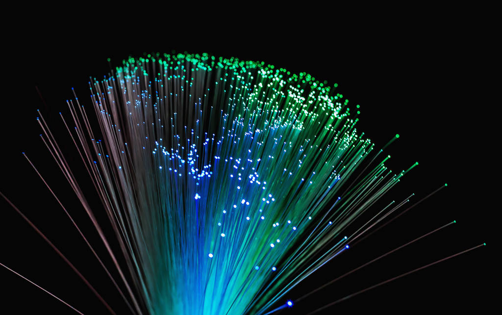 是资产总额减去负债总额后的净额